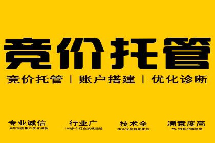 探索SEM竞价代运营公司的服务流程与效果